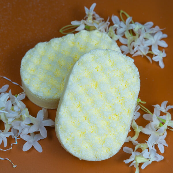 DSC04295.jpg Vanilla Soap Sponge