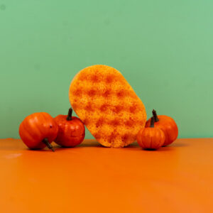 Pumpkin Spice Mini Soap Sponges