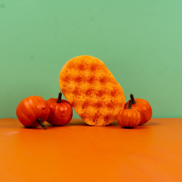 Pumpkin Spice Mini Soap Sponges