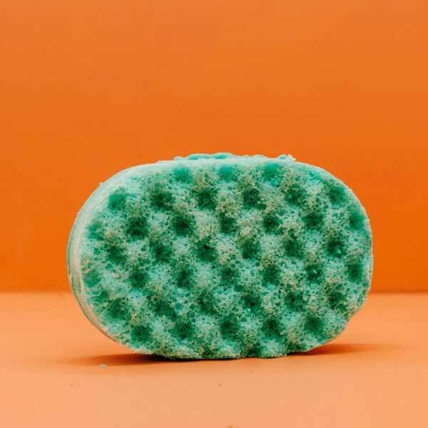 DSC08661.jpg Cloud Soap Sponge