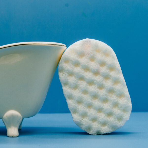 dove.jpg Dove Soap Sponge