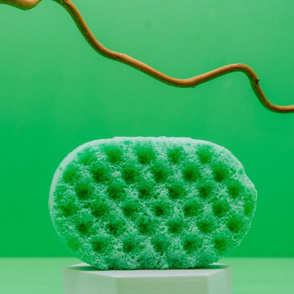 lbm.jpg Lime, Basil & Mandarin Soap Sponge