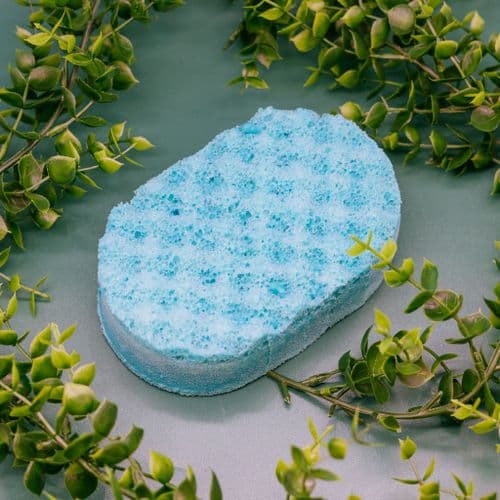 mint-tingle-soap-sponge-4199-1-p.jpg Mint Tingle Soap Sponge