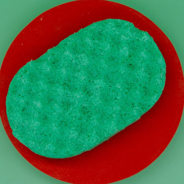 watermelon.jpg Watermelon Soap Sponge