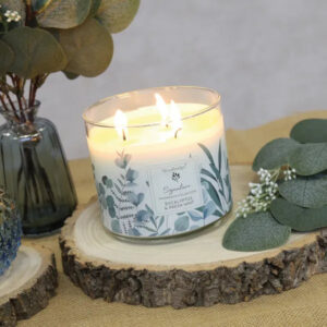 Eucalyptus & Fresh Mint Wax Tumbler Candle Jar by Woodbridge 410g